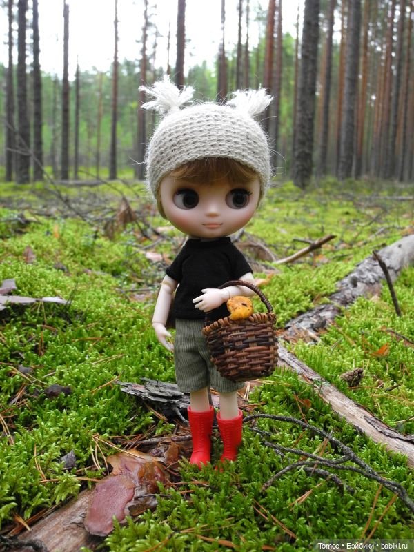 Первая декада сентября — Куклы Blythe TBL (ТБЛ) и аналоги: Блюх (фото 3)