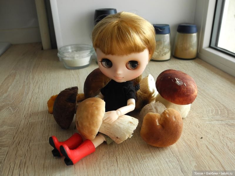 Первая декада сентября — Куклы Blythe TBL (ТБЛ) и аналоги: Блюх (фото 4)
