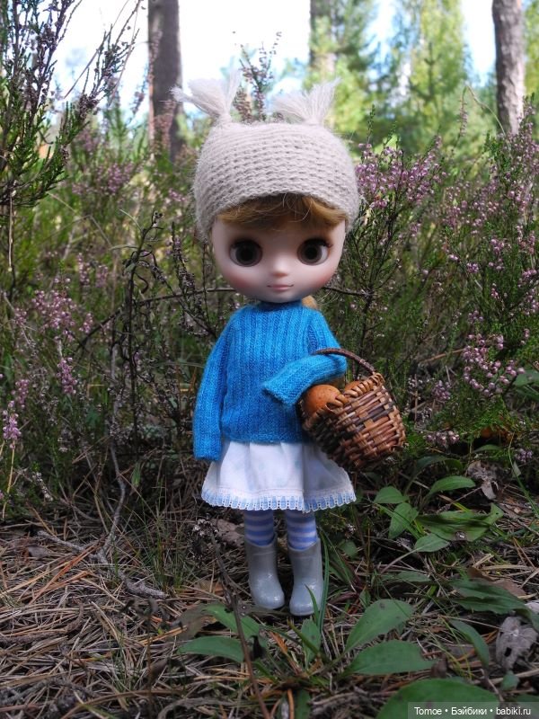Первая декада сентября — Куклы Blythe TBL (ТБЛ) и аналоги: Блюх (фото 8)