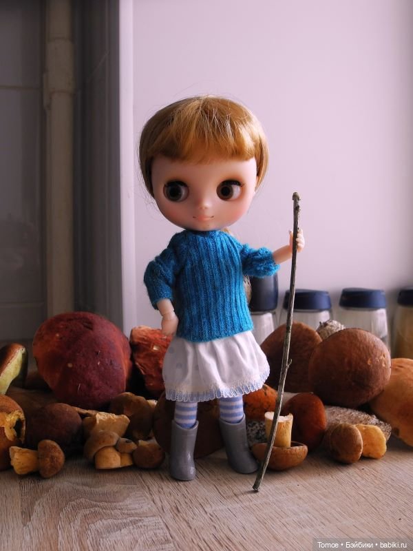 Первая декада сентября — Куклы Blythe TBL (ТБЛ) и аналоги: Блюх (фото 10)