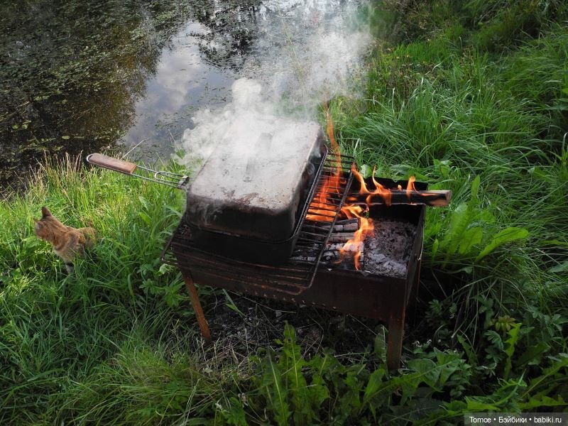 Первая декада сентября — Куклы Blythe TBL (ТБЛ) и аналоги: Блюх (фото 5)