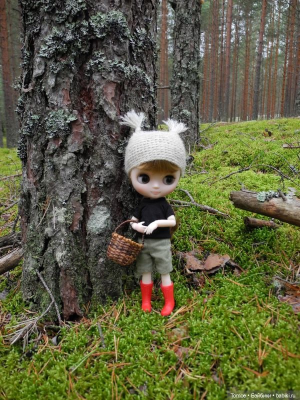 Первая декада сентября — Куклы Blythe TBL (ТБЛ) и аналоги: Блюх