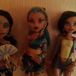 Моя коллекция monster high