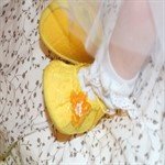 Одежда и сандалики  для прекрасных принцесс 4 часть.