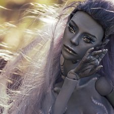 Музыка ветра