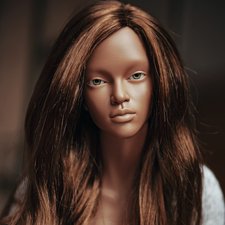 Моя новенькая Шайенн