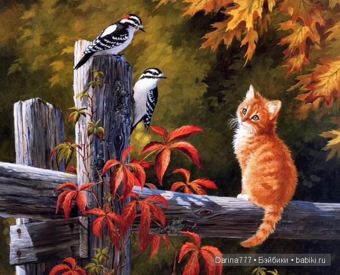 Осень в окнах наших домов