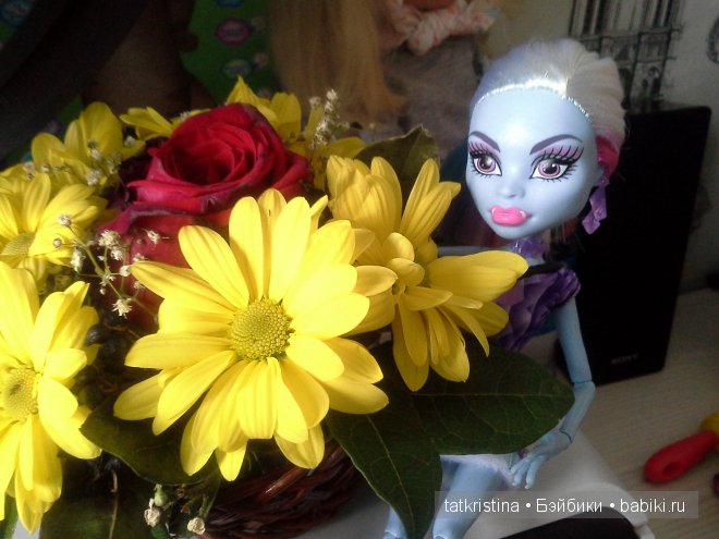 И опять Монстряшки — Куклы Monster High и Ever After High: G1 (фото 10)