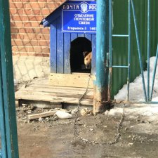 Почта России,проблемы при регистрации