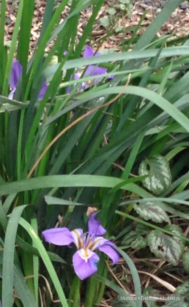 Немного о путешествии в Крым