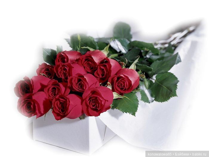 Сиротка Liz с сестренкой Лизой (фото 6)