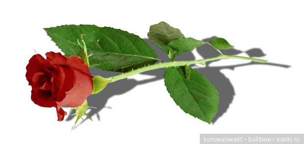 Сказочный мир иллюстратора Н.М.Кочергина (фото 7)