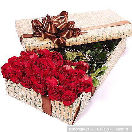 Балет, балет, балет... маленькая балерина Бренди