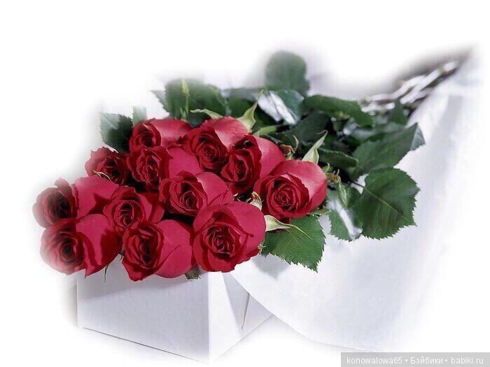 Балет, балет, балет... маленькая балерина Бренди