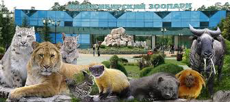 Мой любимый город — Туризм и путешествия: фотоотчеты из поездок