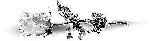 Мой любимый город — Туризм и путешествия: фотоотчеты из поездок