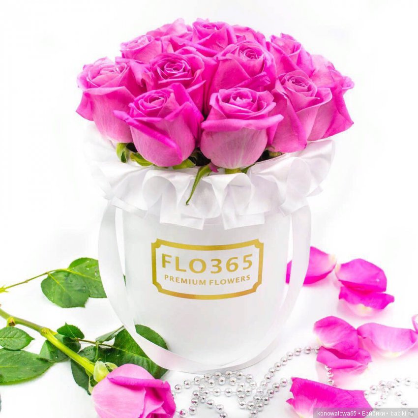 И это все о ней — Куклы Dawn Adams (Даун Адамс): Ashton Drake (фото 2)