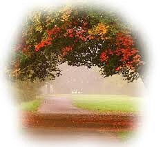 Мой сон - в далекое детство