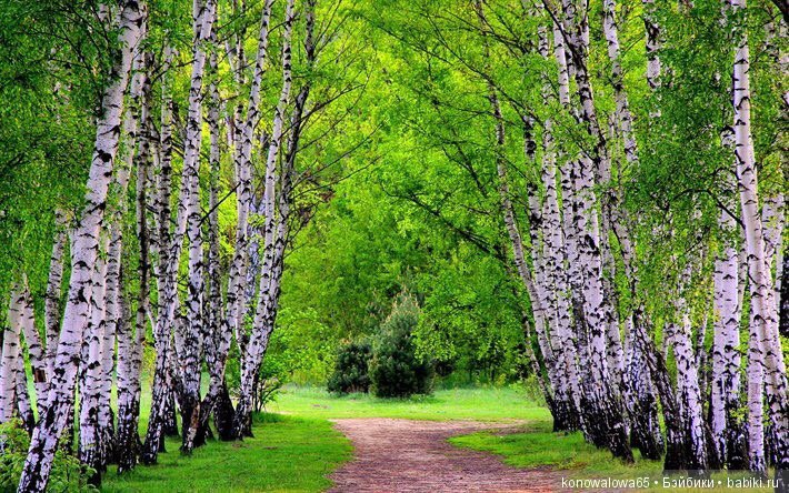 Я в весеннем лесу - наслаждалась природой