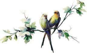 Я в весеннем лесу - наслаждалась природой (фото 7)