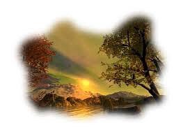 Я в весеннем лесу - наслаждалась природой