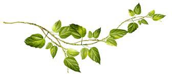 Я в весеннем лесу - наслаждалась природой