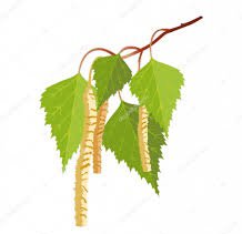 Я в весеннем лесу - наслаждалась природой