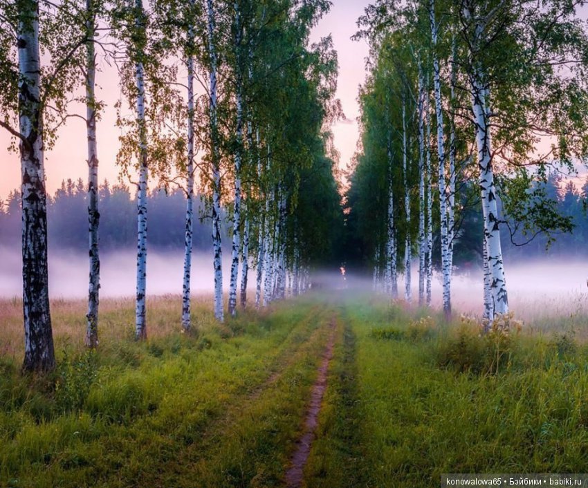 Я в весеннем лесу - наслаждалась природой