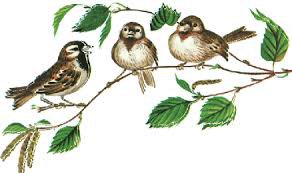 Я в весеннем лесу - наслаждалась природой (фото 5)