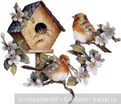 Я в весеннем лесу - наслаждалась природой