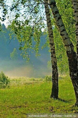 Я в весеннем лесу - наслаждалась природой