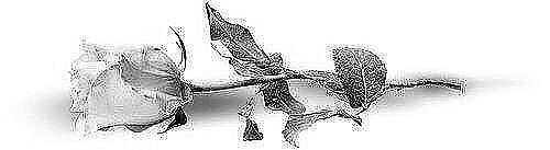 Низкий поклон Ирене Сендлер и Всем, кто боролся за наше будущее