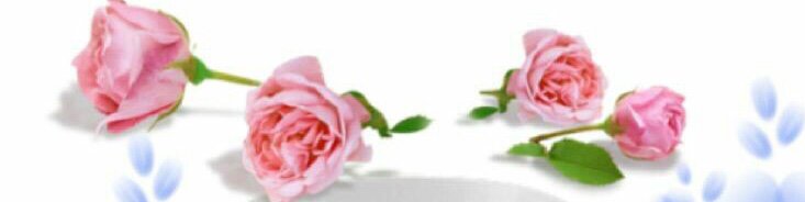 Маленький принц от Веры Шольц