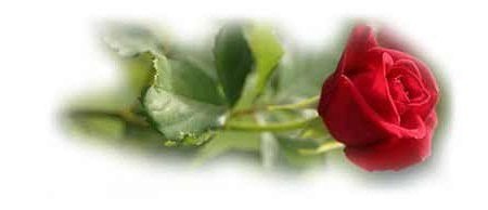 Неповторимая Амбер с улыбкой Джоконды