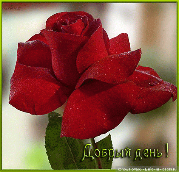 Благодарим всех, кто за нас проголосовал