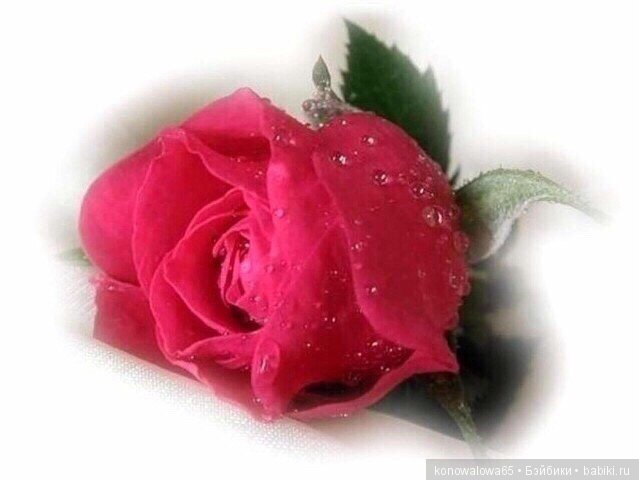 Благодарим всех, кто за нас проголосовал (фото 10)