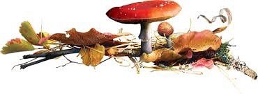 Что ж ты осень, душу растревожила