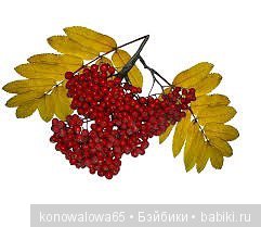 Что ж ты осень, душу растревожила