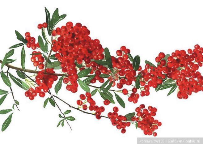 Что ж ты осень, душу растревожила