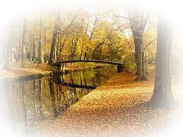 Что ж ты осень, душу растревожила (фото 4)