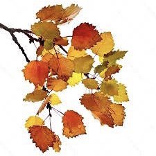 Осеннее настроение — Коллекционные куклы разных авторов (Разное): редкие бренды