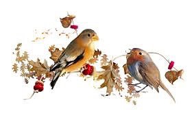 Осеннее настроение — Коллекционные куклы разных авторов (Разное): редкие бренды (фото 10)