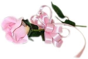 А правильно ли я поступила