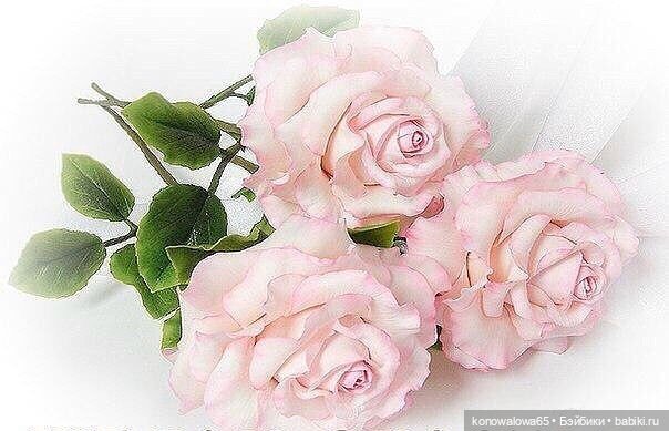 А правильно ли я поступила (фото 4)