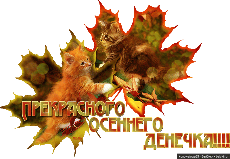 Сиротинушка Лиз - дорога домой