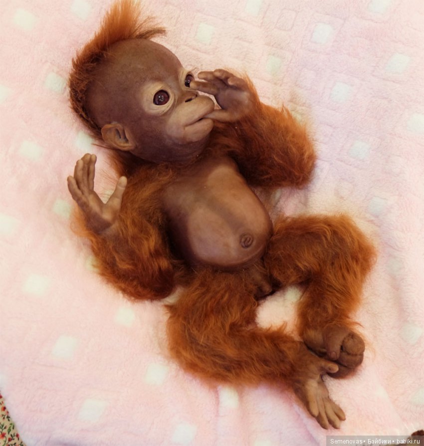 Снова Кукольная весна в Мюнстере