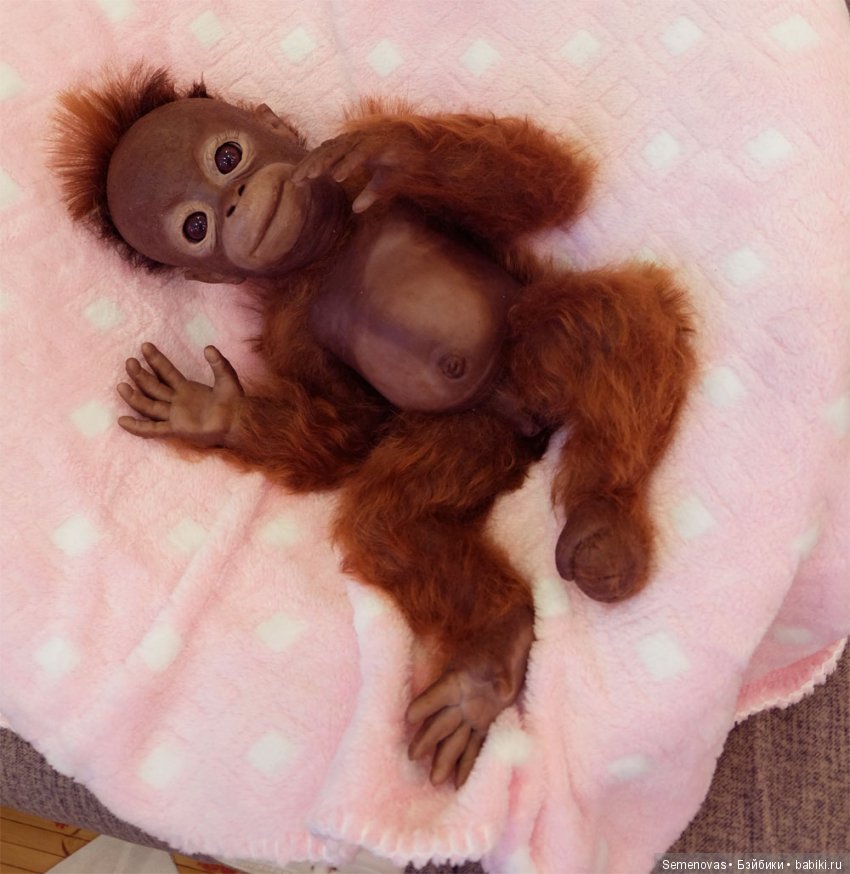 Снова Кукольная весна в Мюнстере