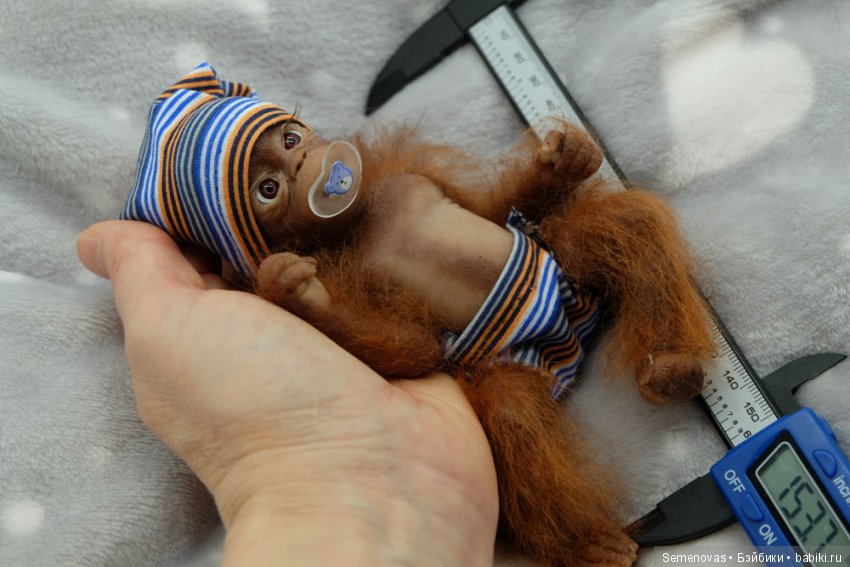 Снова Кукольная весна в Мюнстере