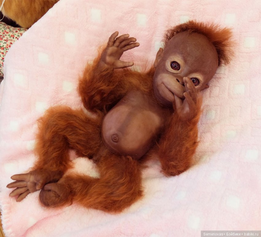 Снова Кукольная весна в Мюнстере