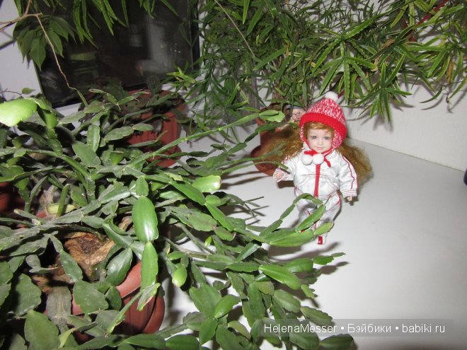 Приключения... лысика? Нет, Златовласки Adora